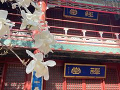 -潭柘寺景区