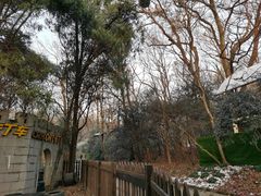-WeLope紫金山探险公园