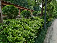 -阿哈湖国家湿地公园