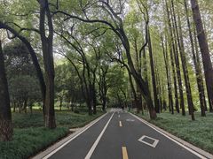 -采石矶景区