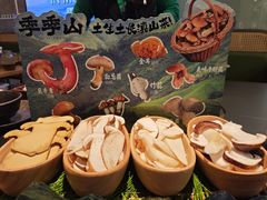-季季山•云南野生菌火锅(上海首店)