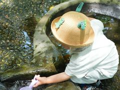 -成都市活水公园