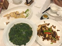 -金河半岛园林酒家(金融城店)