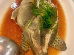 -金河半岛园林酒家(金融城店)