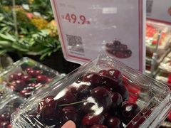 -盒马鲜生(双清路店)
