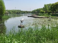 -昆山城市生态森林公园