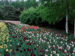 -长春公园(普阳街道)