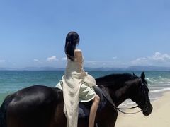 -玫瑰海岸文化旅游度假区