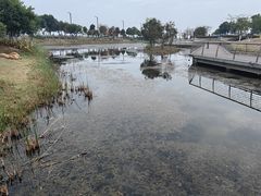 -滨海公园