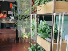 -金狮麟·新豫菜(杏石口路店)