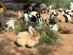 -鄂尔多斯野生动物园