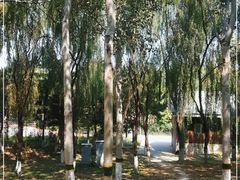 -大兴滨河森林公园