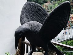 -西双版纳原始森林公园