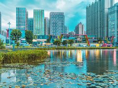-花果园湿地公园