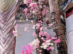 -深圳国际园林花卉博览园