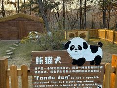 -茅山东方盐湖城景区