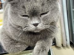 -正飞鲜奶(吐鲁番路店)