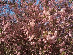 -祥源·阜阳生态乐园