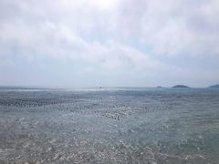 -枸杞岛