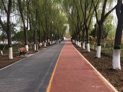 -大兴滨河森林公园