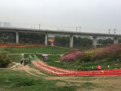 -秀丽东方