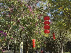 -南沙蒲洲花园