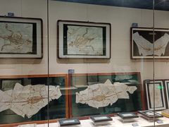 -安徽省地质博物馆