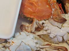 -半岛听涛蒸汽海鲜自助(K11店)
