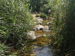 -碓臼峪自然风景区