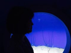 -泉城欧乐堡海洋极地世界
