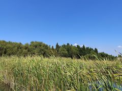 -太湖湖滨国家湿地公园-停车场