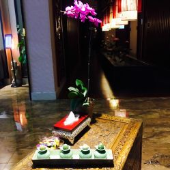 -诗泥SPA