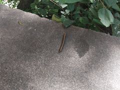 -碓臼峪自然风景区