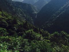 东天目山风景区-东天目山风景区