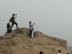 -烁佳海鲜大馅饺子