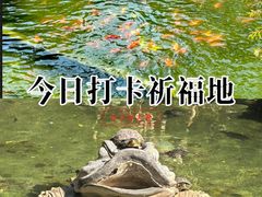-国恩寺
