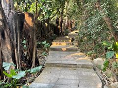 -小南山公园