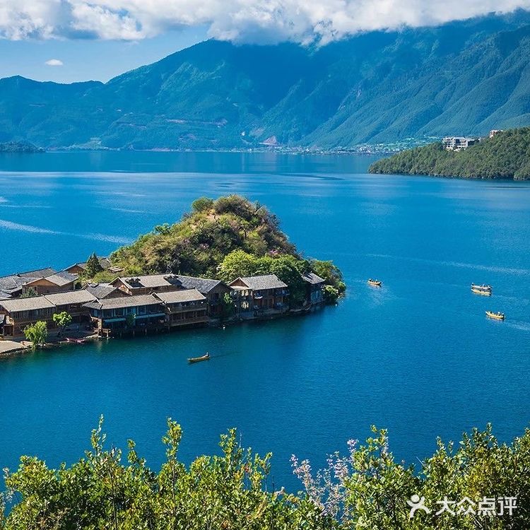 会把小白花送到离它根叶很远很远的地方