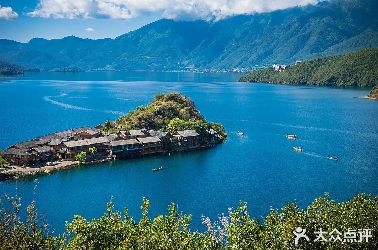 会把小白花送到离它根叶很远很远的地方