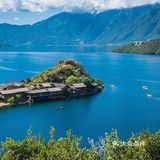 会把小白花送到离它根叶很远很远的地方