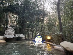 -天目湖涵田半山温泉