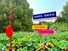 -洛阳市隋唐城遗址植物园