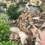厦门鼓浪屿之旅