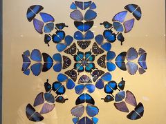 -广州白天鹅宾馆