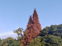 -三星堆博物馆