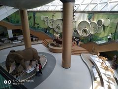 -陕西自然博物馆