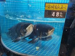 -千岛湖小鱼儿·淳安匠心农家菜