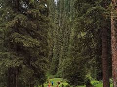 -玉渡山自然风景区