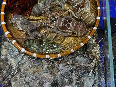 -高佳庄·舟山海鲜(海景旗舰店)