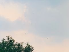 -南京维景国际大酒店(南京博物院店)